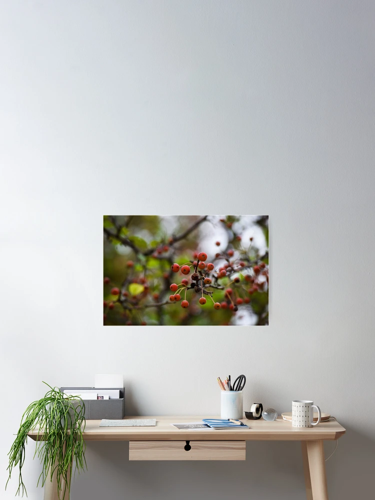 Thumbnail 2 of 3, Poster, Red Berries designed and sold by Tracy Engle.