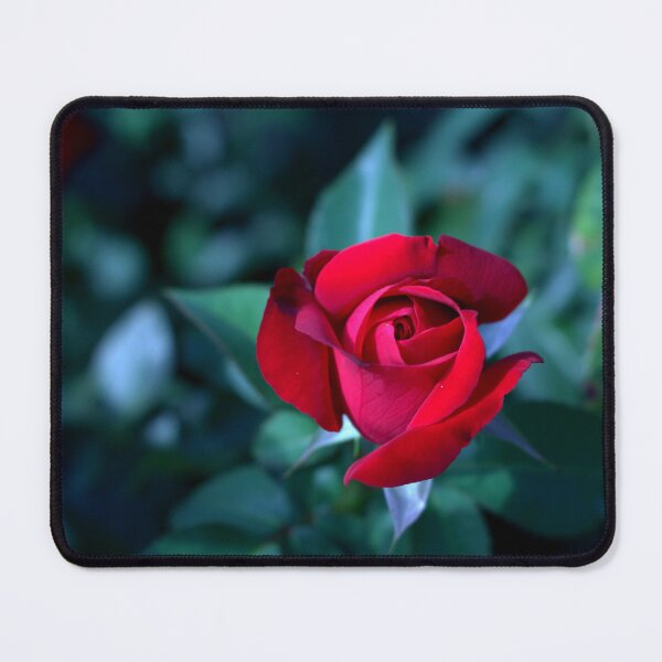 Item preview, Red Rose Bud designed and sold by Cr8tive4life.