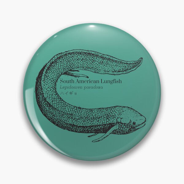 Item preview, South American Lungfish Lepidosiren paradoxa ハイギョ Scientific Wildlife Japanese Kanji designed and sold by Snoot-Store.