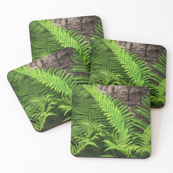 Item preview, Rock and Ferns designed and sold by Tracy Engle.