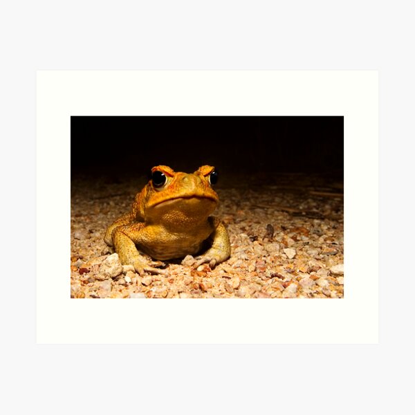 You know you want me Art Print