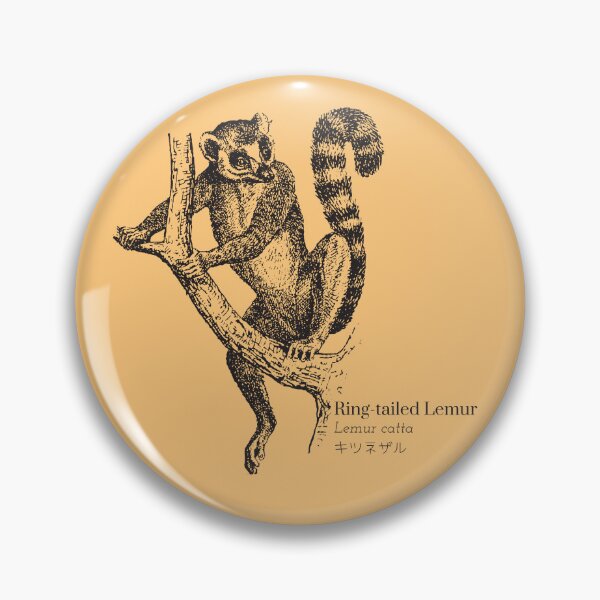 Item preview, Ring-tailed Lemur Lemur catta キツネザル Scientific Wildlife Japanese Kanji designed and sold by Snoot-Store.