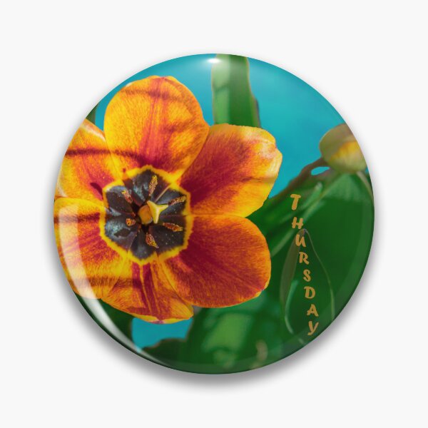 Aperçu de l'œuvre Tulipe - Jeudi créée et vendue par MelBolin.