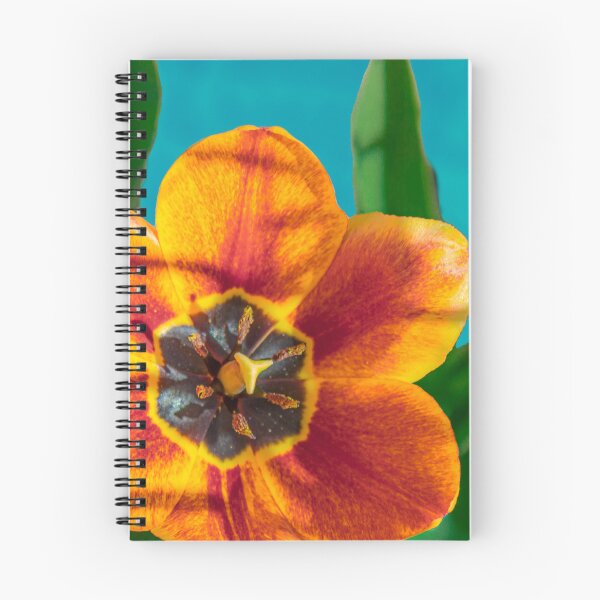 Item preview, Tulip - Thursday designed and sold by MelBolin.