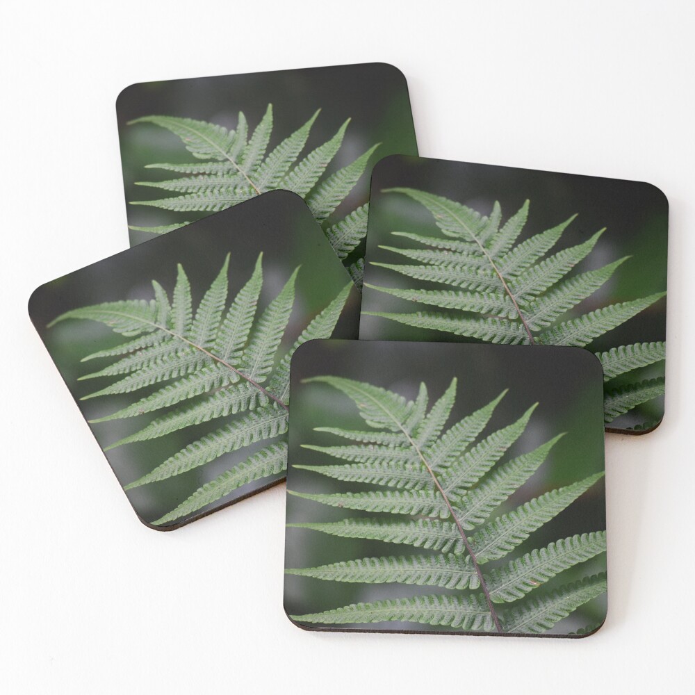 Item preview, Coasters (Set of 4) designed and sold by Reriginal.