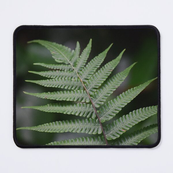 Item preview, Sincerity designed and sold by Tracy Engle.