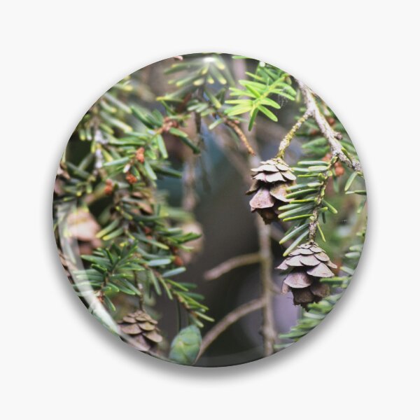 Item preview, Small Pinecones designed and sold by Tracy Engle.