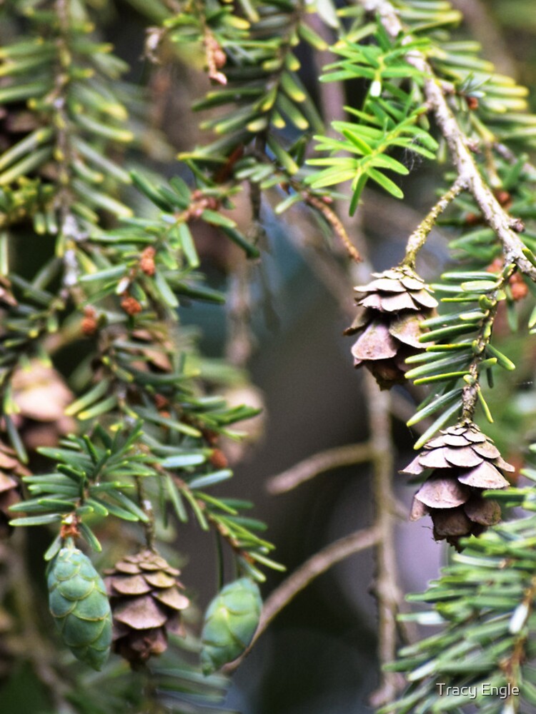 Thumbnail 4 of 4, iPhone Case, Small Pinecones designed and sold by Tracy Engle.