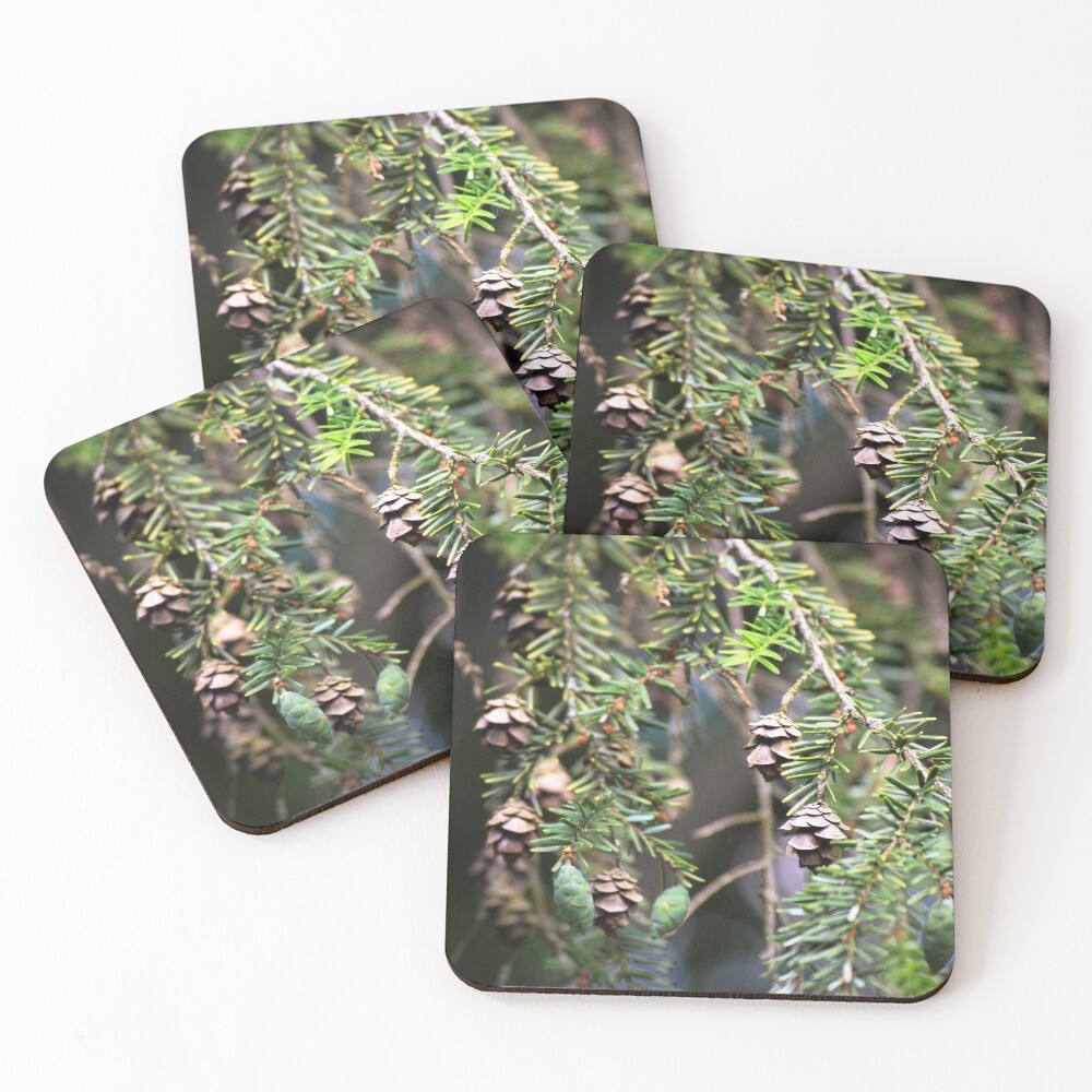 Item preview, Coasters (Set of 4) designed and sold by Reriginal.