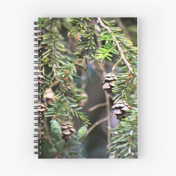 Item preview, Small Pinecones designed and sold by Tracy Engle.