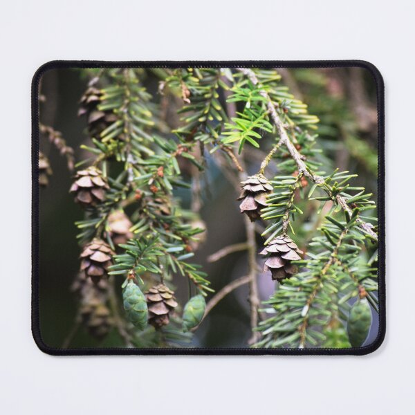 Item preview, Small Pinecones designed and sold by Tracy Engle.