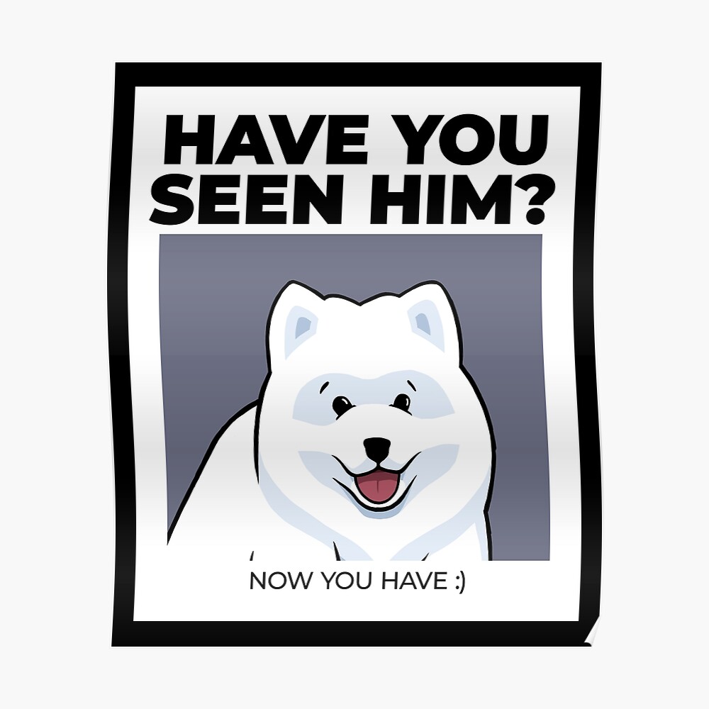 HAVE YOU SEEN HIM