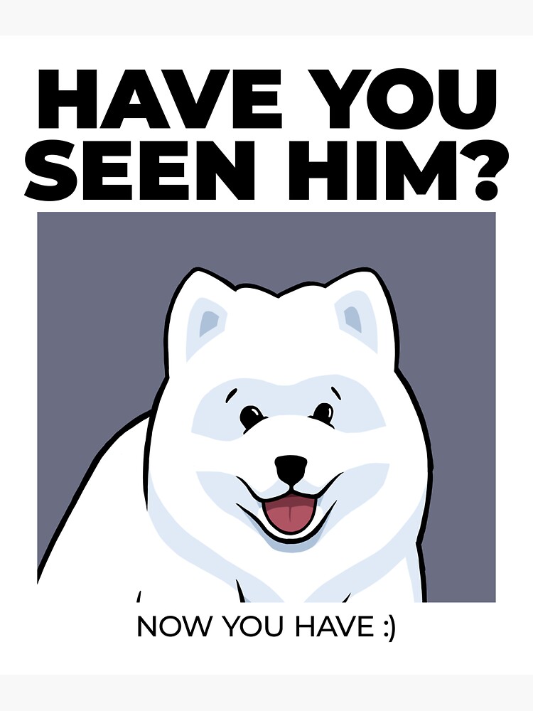 HAVE YOU SEEN HIM