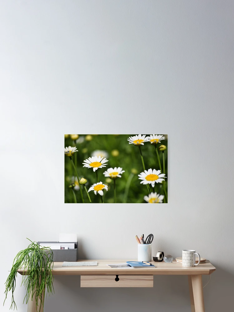 Thumbnail 2 of 3, Poster, Sunny Days designed and sold by Tracy Engle.