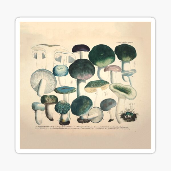 Item preview, Mushroom Painting of Amanita Viridis, 1831. designed and sold by BotanicalVibes.