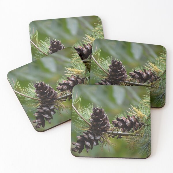 Item preview, Three Pinecones designed and sold by Tracy Engle.
