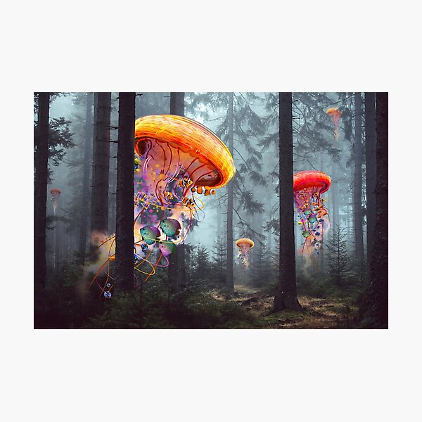Forest of Jellyfish Worlds Photographic Print