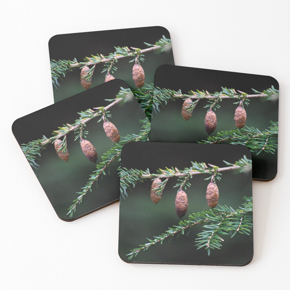 Item preview, Coasters (Set of 4) designed and sold by Reriginal.