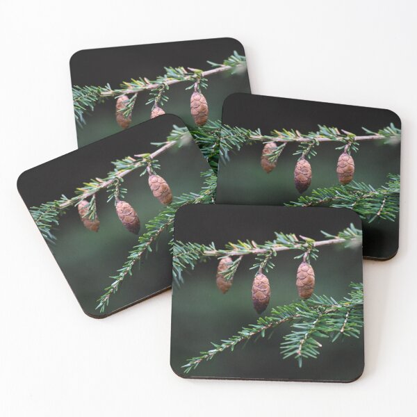 Item preview, Three designed and sold by Tracy Engle.