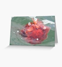 MAN OF WAR Greeting Card