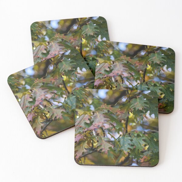 Item preview, Turn of the Season designed and sold by Tracy Engle.