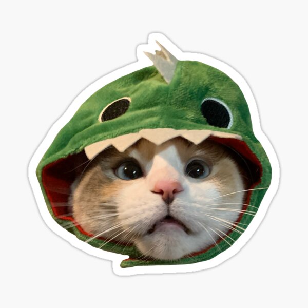 Scrungey Cat Sticker for Sale by fatfatpankocat in 2023