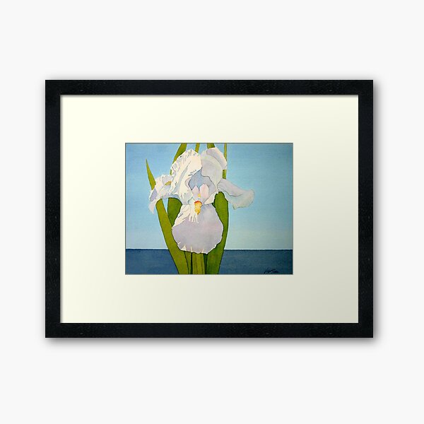 White Iris Framed Art Print