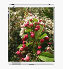 Fer Blooming sake iPad Case/Skin