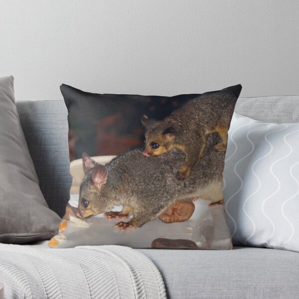 Item preview, Common Brushtail Possum (Trichosurus vulpecula) designed and sold by Geoffrey Higges.