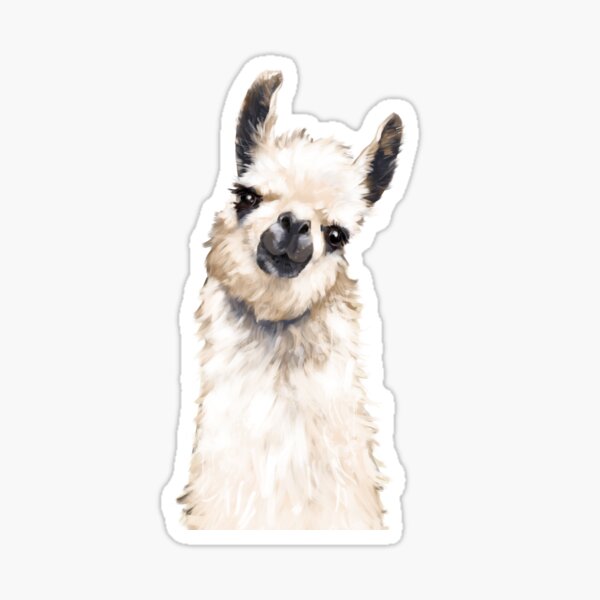 Llama Pegatina