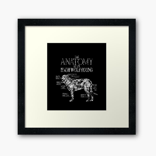 Artikel-Vorschau von Lustiges Irish Wolfhound Design Outfit DogLover Geschenk Männer Frauen, designt und verkauft von Evrallimee.