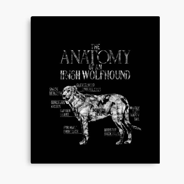 Artikel-Vorschau von Lustiges Irish Wolfhound Design Outfit DogLover Geschenk Männer Frauen, designt und verkauft von Evrallimee.