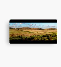 coastal farmland Canvas Print