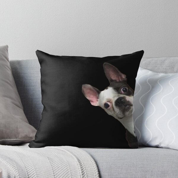 Item preview, Boston Terrier #10 designed and sold by jellomaknae.