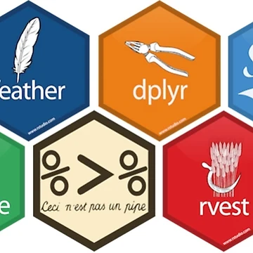 Artwork thumbnail, The R/RStudio Universe by volcanoTees