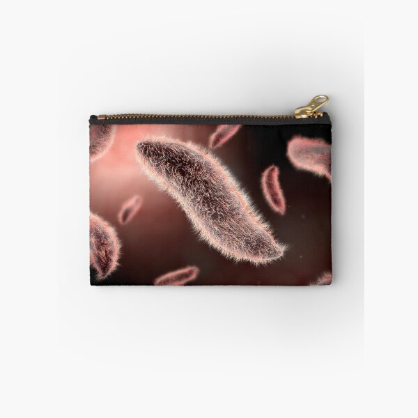 Item preview, STK700417H-Conceptual image of paramecium. designed and sold by StocktrekImages.