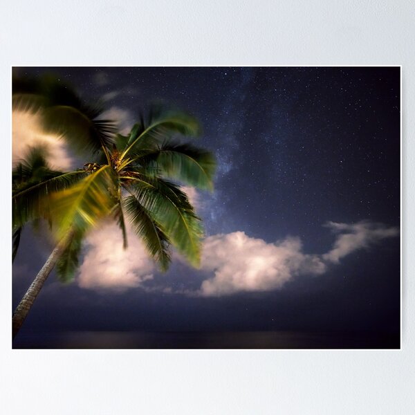 Night Sky Poster
