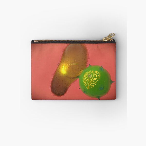 Item preview, A natural killer cell injects toxin into a bacterium. designed and sold by StocktrekImages.