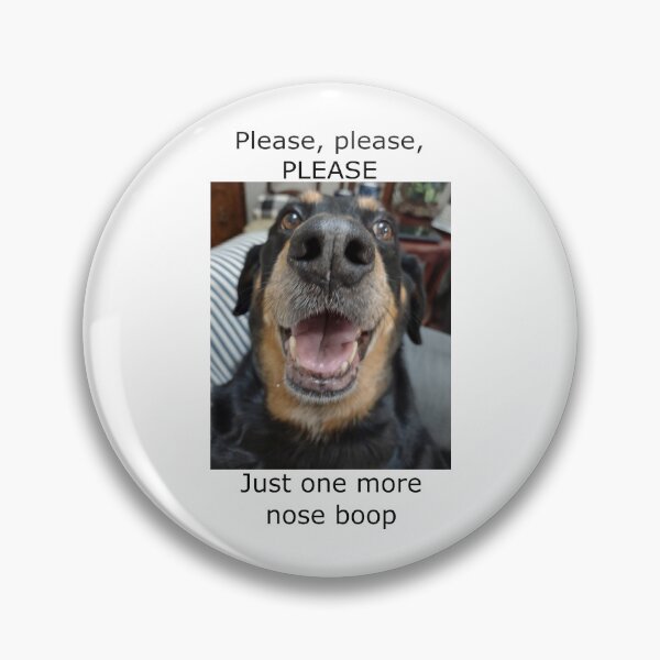 Item preview, Please, please, please, just one more nose boop: dog lovers, dog, nose boop, adopt don't shop, gift idea, decor, accent piece designed and sold by Becky Hunter.
