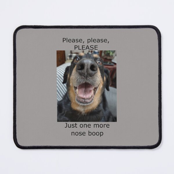 Item preview, Please, please, please, just one more nose boop: dog lovers, dog, nose boop, adopt don't shop, gift idea, decor, accent piece designed and sold by Becky Hunter.