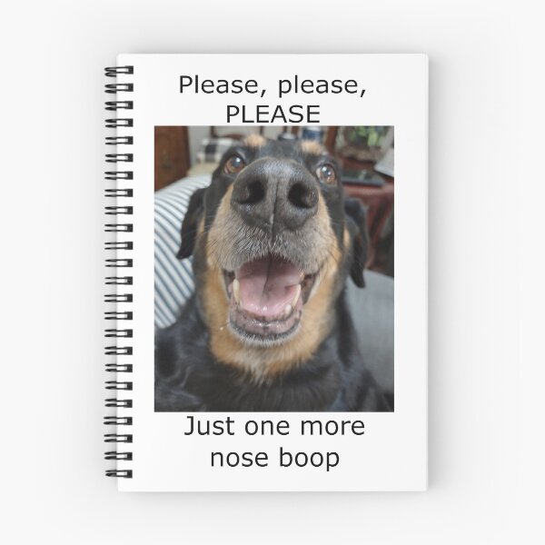 Item preview, Please, please, please, just one more nose boop: dog lovers, dog, nose boop, adopt don't shop, gift idea, decor, accent piece designed and sold by Becky Hunter.