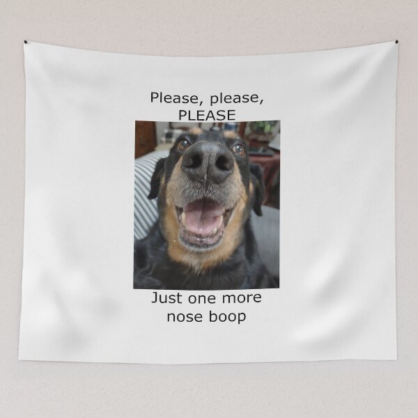 Item preview, Please, please, please, just one more nose boop: dog lovers, dog, nose boop, adopt don't shop, gift idea, decor, accent piece designed and sold by Becky Hunter.