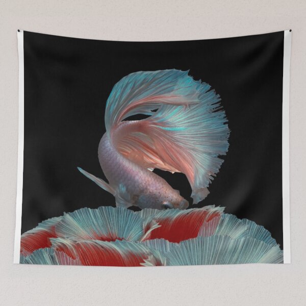 Item preview, pink betta fish  designed and sold by ritusdesigns.