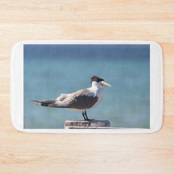 Item preview, Greater Crested Tern designed and sold by irened71.