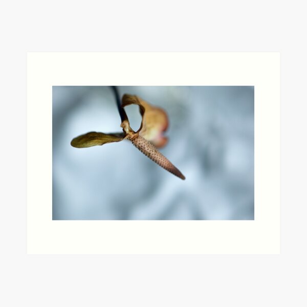 Faded Art Print