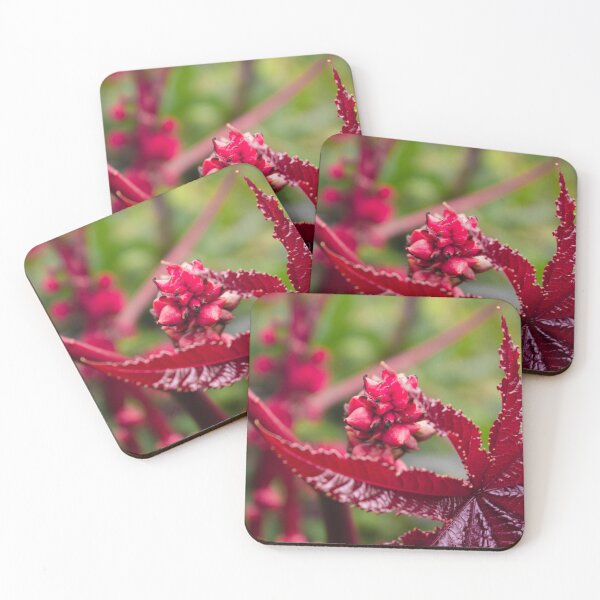Item preview, Garden of Eden designed and sold by chiaravisuals.