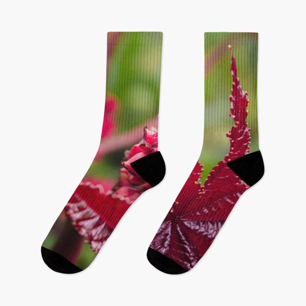 Item preview, Garden of Eden designed and sold by chiaravisuals.