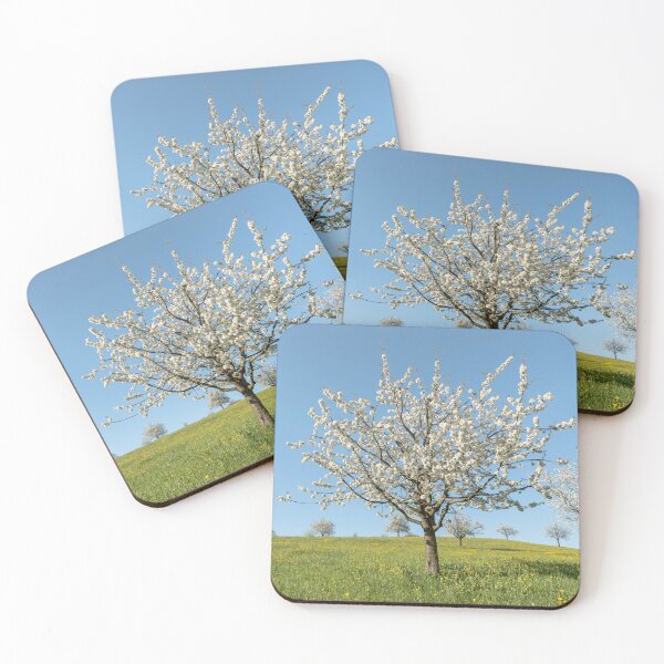 Item preview, Spring blooming cherry tree designed and sold by StohlerPhotos.