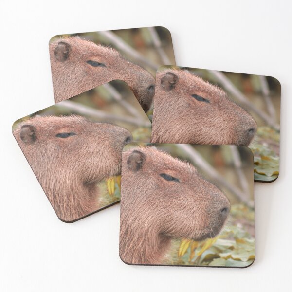 Item preview, Sleepy Capybara designed and sold by ItsClum.