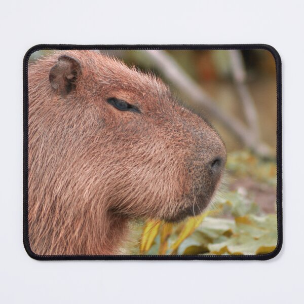 Item preview, Sleepy Capybara designed and sold by ItsClum.